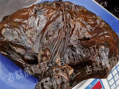 ÷��¹̥/¹̥��