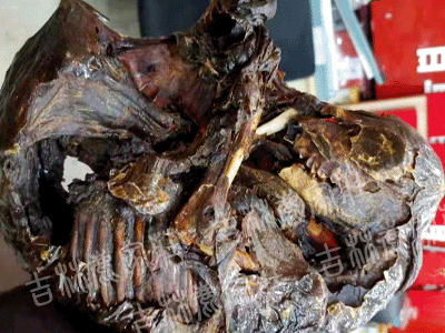 ÷��¹̥/¹̥��