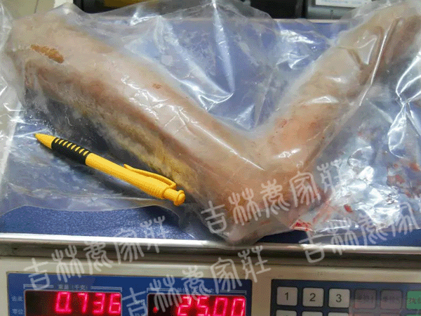 ÷����¹��