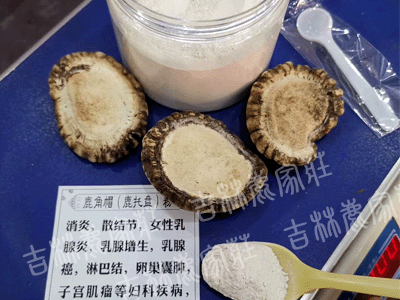 ÷��¹��ñ��