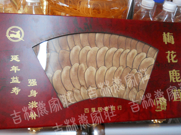 �ٲݾ�¹��Ƭ�������