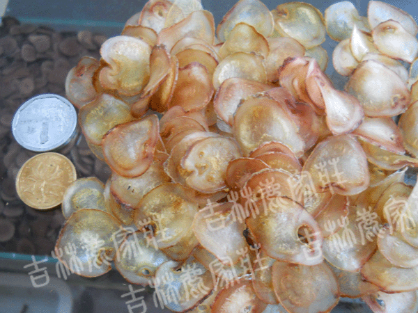 ÷��¹��Ƭ��Ʒ