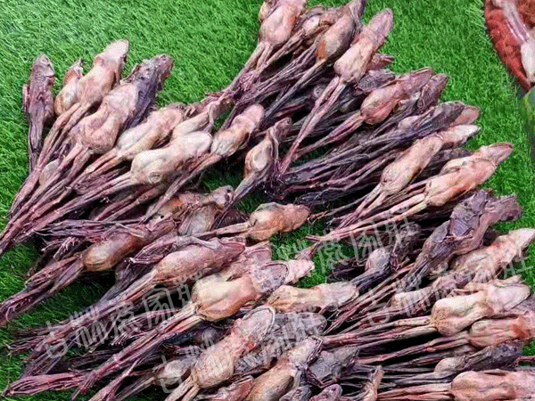 ����Ұ������/ѩ��