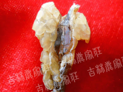 �������������