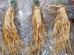 ����ɽ���ʲ�