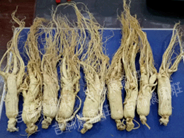 ����ɽ(�ײ�)