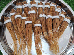 ����ɽ(�������)