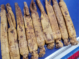 ��Ʒ������