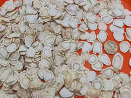 ��Ʒ�����Ƭ