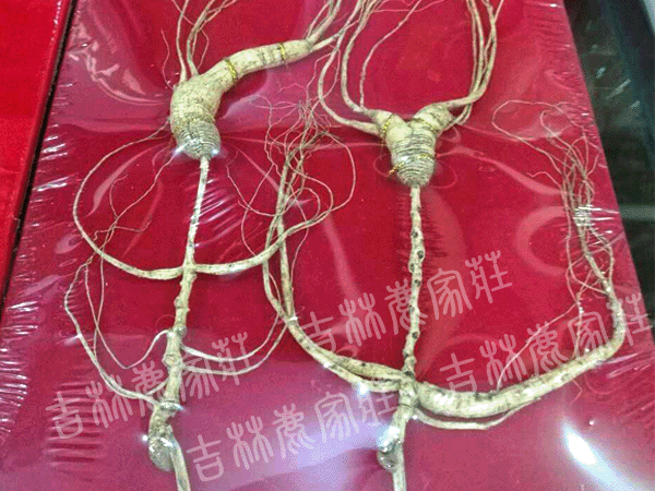 ����ɽҰɽ��