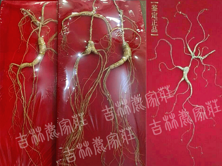 ����ɽҰɽ��