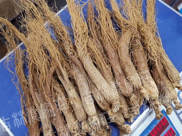 ����ɽ���Ǻ��