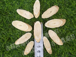 ���ֻ���