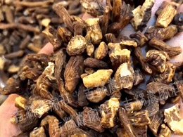 Ұ���ѹ�Ӣ����