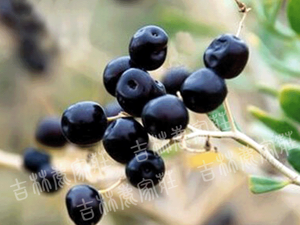 Ұ�������