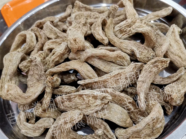 ����Ұ������