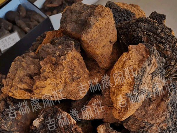 ����˹Ұ��������