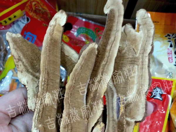 ����ɽ��֥��Ƭ