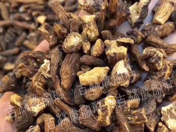 ����ɽ�ѹ�Ӣ����